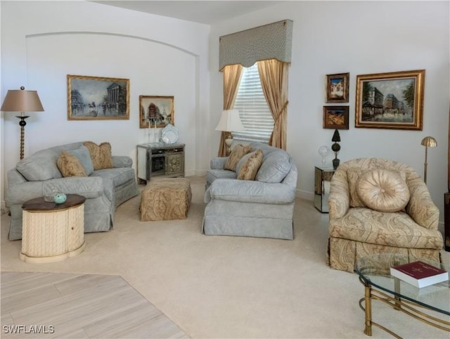 living room with carpet flooring