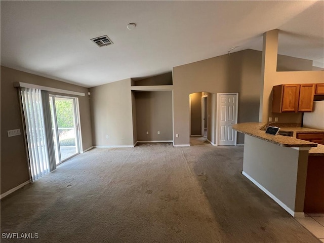 unfurnished living room featuring lofted ceiling, carpet floors, and sink