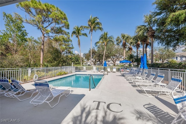 view of swimming pool with a patio area