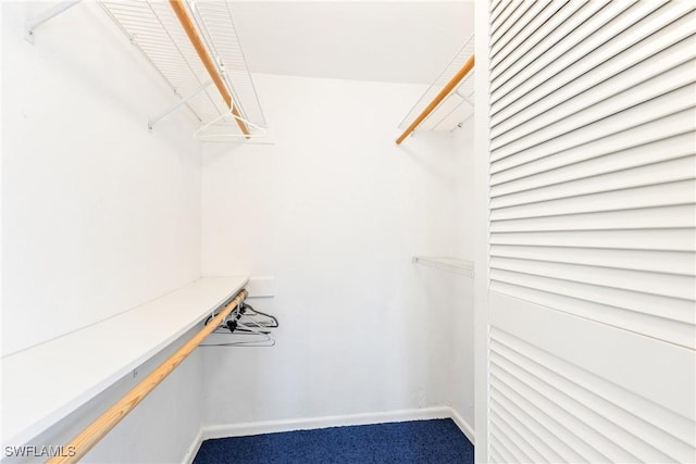 walk in closet featuring carpet floors