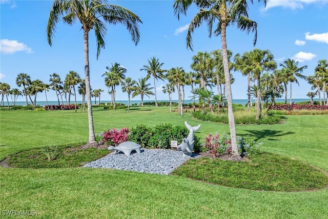 view of yard featuring a water view