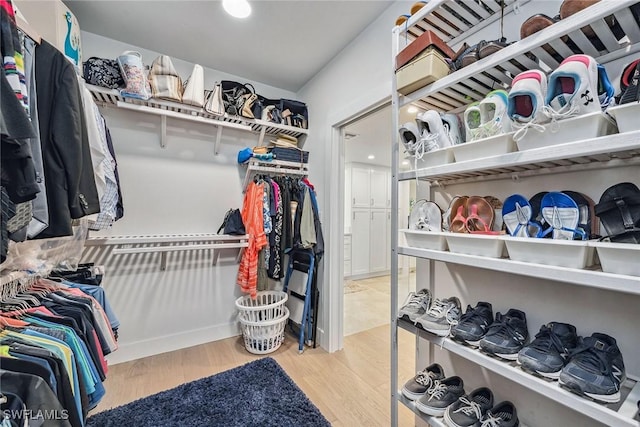 spacious closet with hardwood / wood-style floors