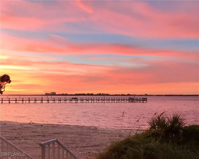 water view featuring a boat dock