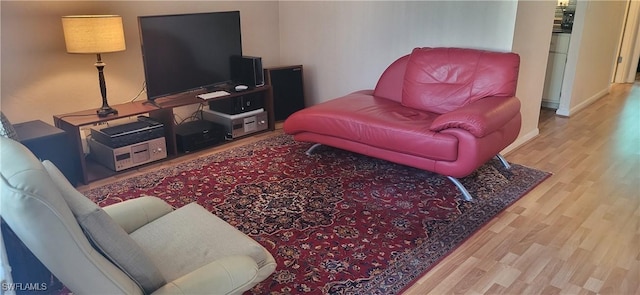 living room featuring light hardwood / wood-style flooring