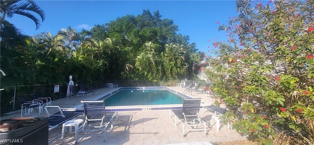 view of pool with a patio area