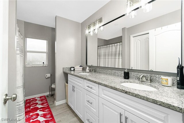 bathroom featuring vanity, wood-type flooring, and toilet