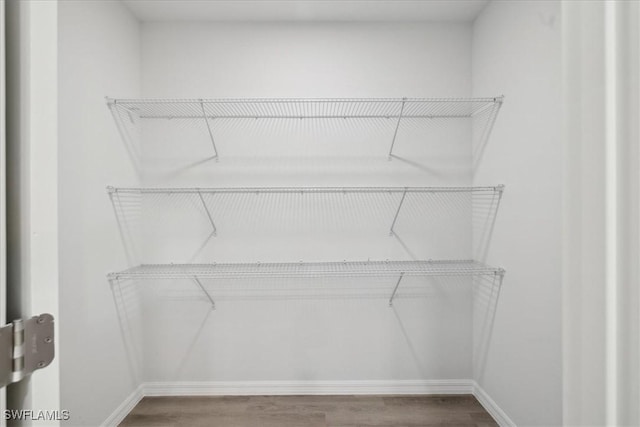 spacious closet featuring wood-type flooring