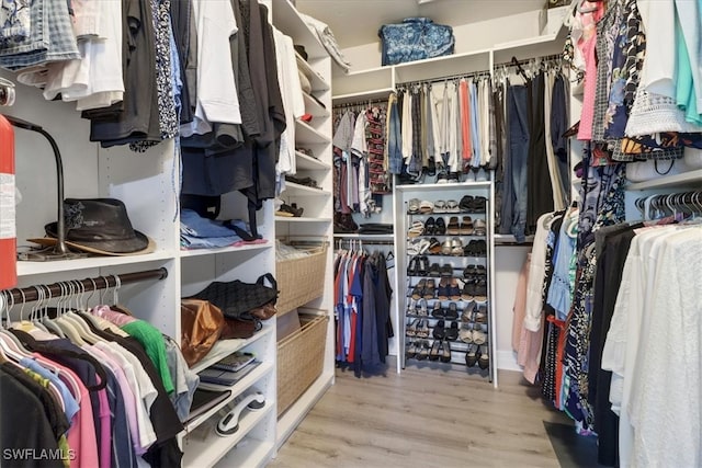 spacious closet featuring light hardwood / wood-style floors