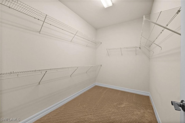 spacious closet with carpet flooring