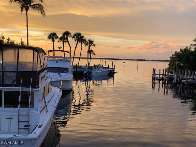 dock area with a water view