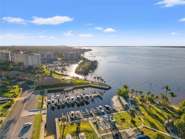 bird's eye view with a water view