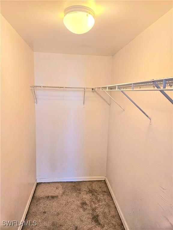 spacious closet featuring carpet