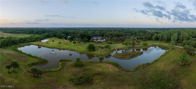 bird's eye view with a water view and a view of trees