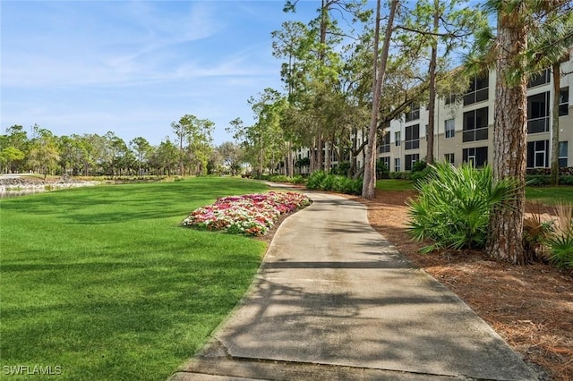 view of property's community with a yard