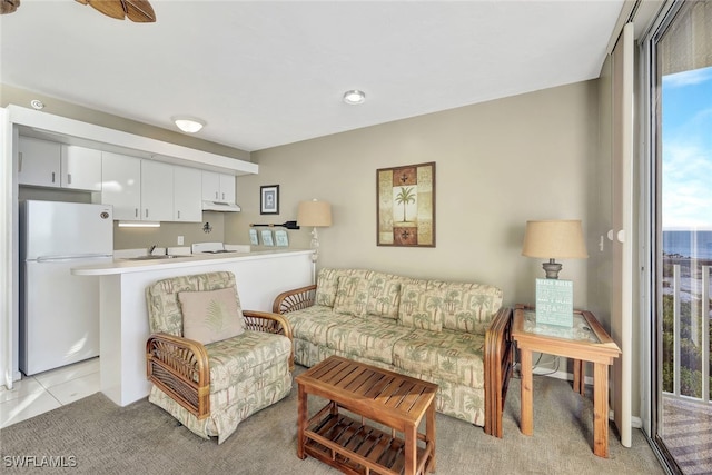 carpeted living room featuring sink