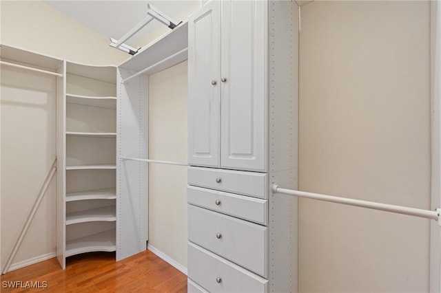 spacious closet with hardwood / wood-style flooring