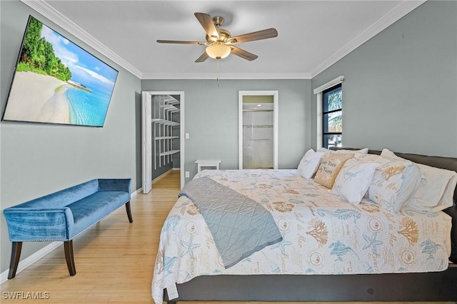 bedroom featuring a walk in closet, ceiling fan, crown molding, light hardwood / wood-style flooring, and a closet