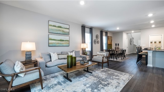 living room featuring dark wood-type flooring