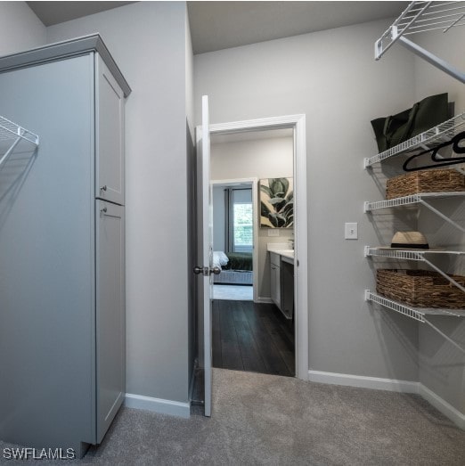 walk in closet with dark hardwood / wood-style flooring