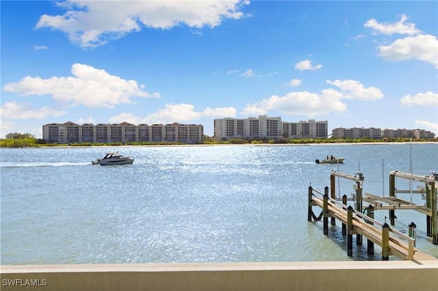 dock area with a water view