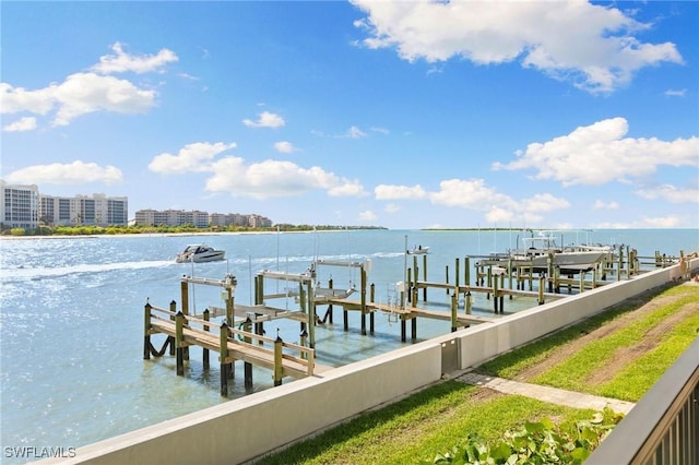 dock area with a water view