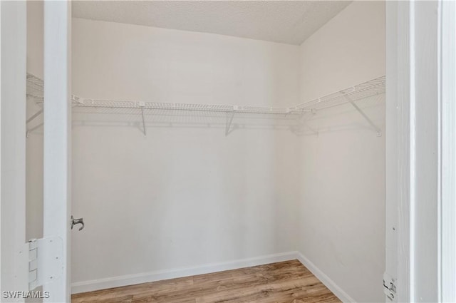 spacious closet featuring hardwood / wood-style flooring