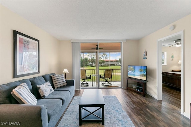 living room with floor to ceiling windows, dark hardwood / wood-style flooring, and a textured ceiling