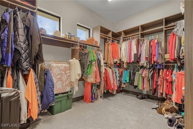 spacious closet featuring carpet