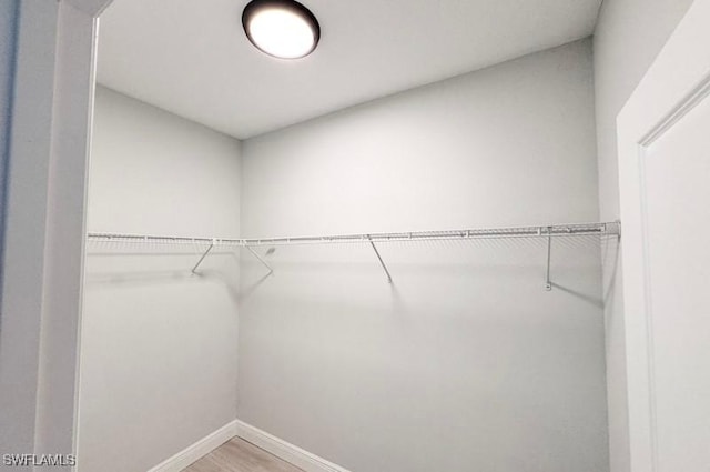 spacious closet featuring hardwood / wood-style floors