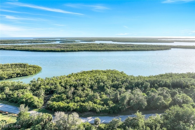 1254 Blue Hill Creek Dr, Marco Island FL, 34145 land for sale