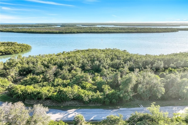 Listing photo 3 for 1254 Blue Hill Creek Dr, Marco Island FL 34145