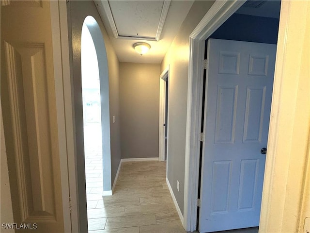 hall featuring light hardwood / wood-style flooring