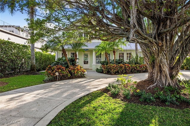 view of front facade with a front yard