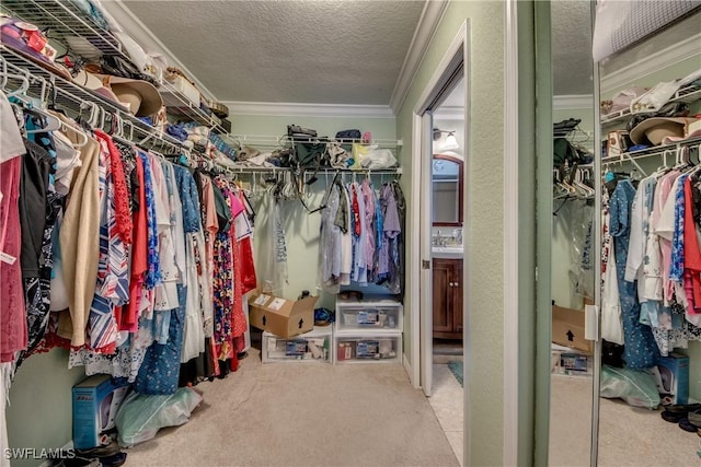 spacious closet featuring carpet