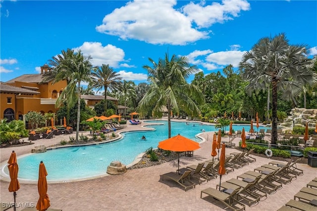 view of swimming pool featuring a patio