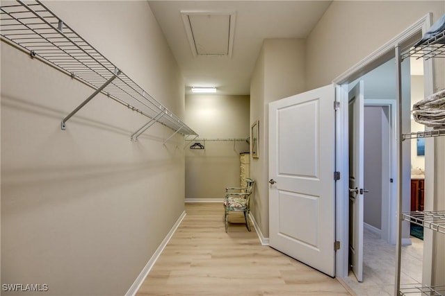 spacious closet featuring light hardwood / wood-style flooring