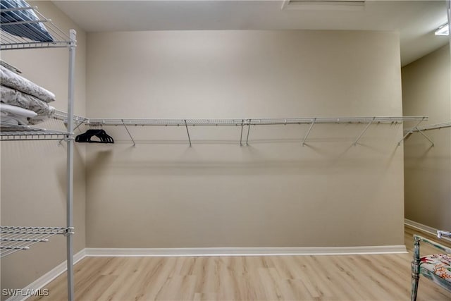 walk in closet with light wood-type flooring