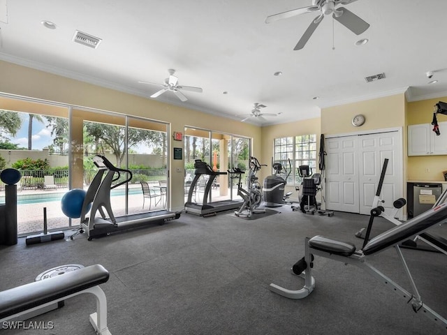 gym featuring a wealth of natural light, ornamental molding, and ceiling fan