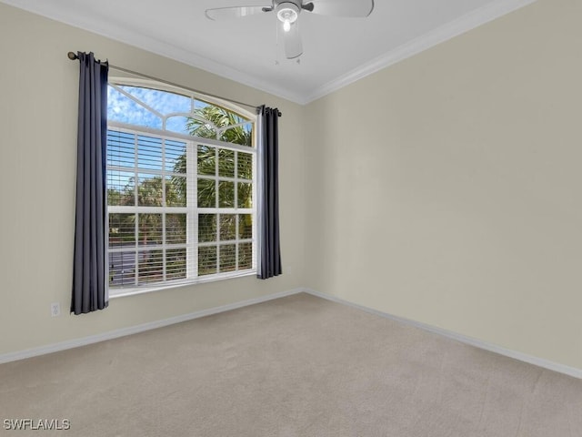 spare room featuring ceiling fan, ornamental molding, and light carpet