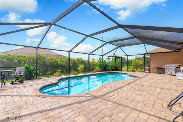 view of swimming pool with a lanai, a patio area, and area for grilling