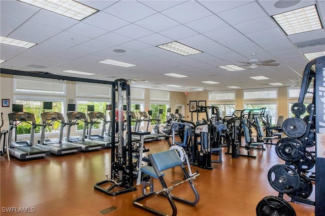 gym featuring a paneled ceiling and ceiling fan