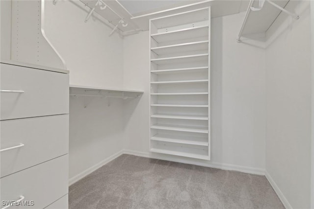 walk in closet featuring light carpet