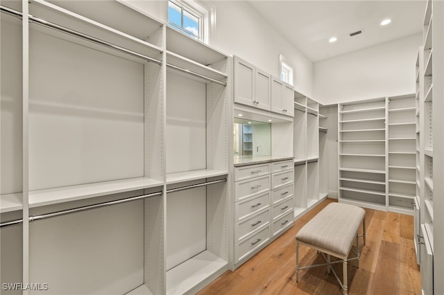 walk in closet featuring wood-type flooring