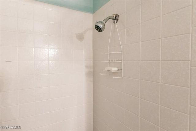 room details featuring tiled shower