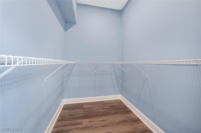 spacious closet featuring hardwood / wood-style flooring