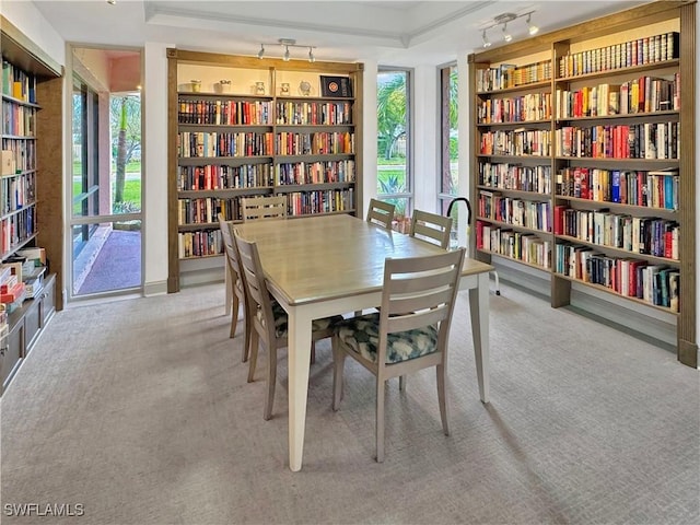 dining area featuring rail lighting, built in shelves, and carpet flooring