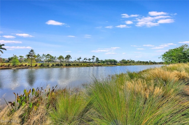 property view of water