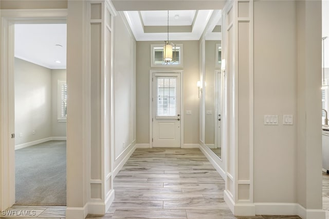 entrance foyer with a raised ceiling and light hardwood / wood-style flooring