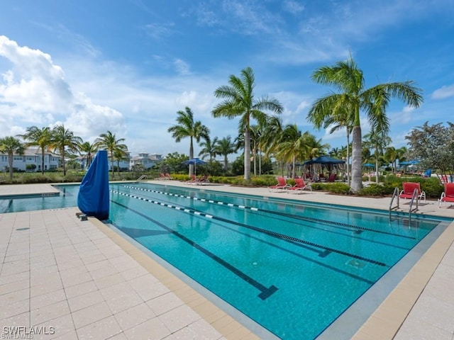 view of pool featuring a patio