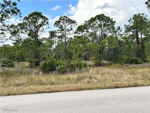 765 Aletha Ave S, Lehigh Acres FL, 33974 land for sale